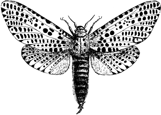 André Schweiger Schmuck Aktuelles