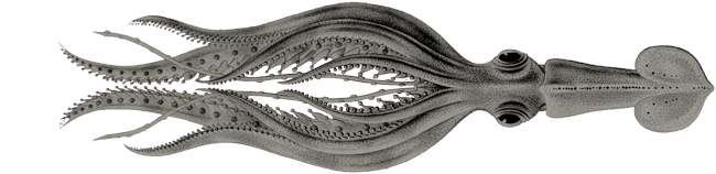 André Schweiger Schmuck